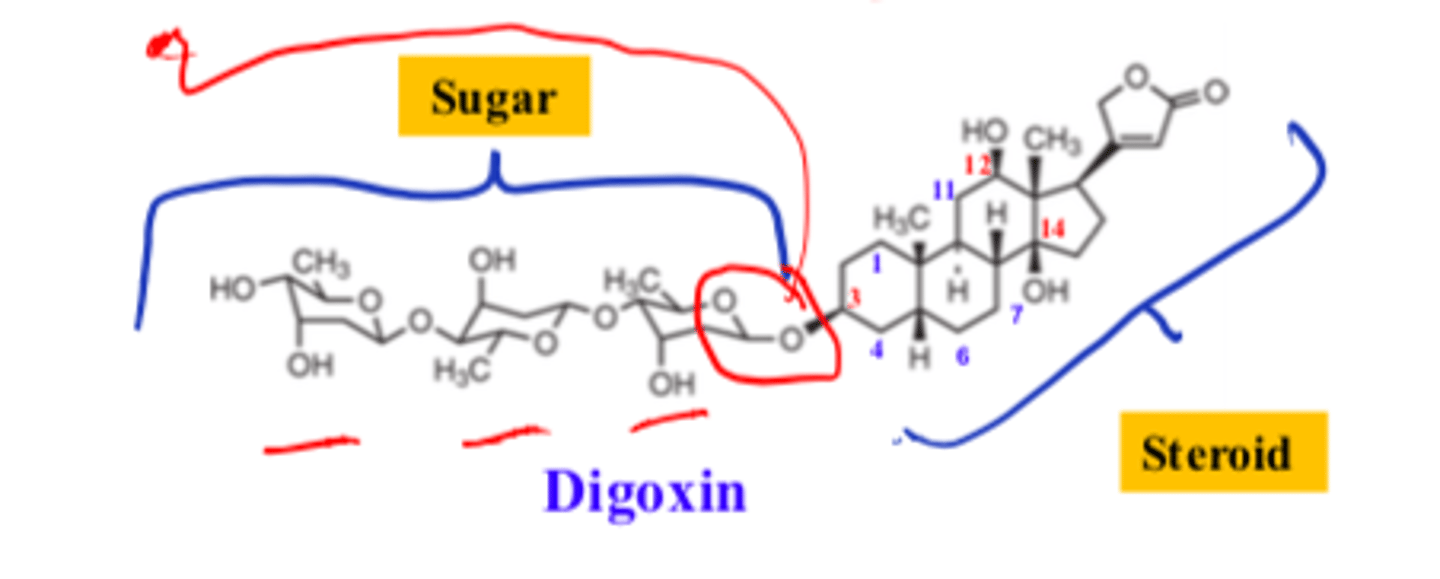 <p>- polysaccharide (sugar)</p><p>- steroid</p>