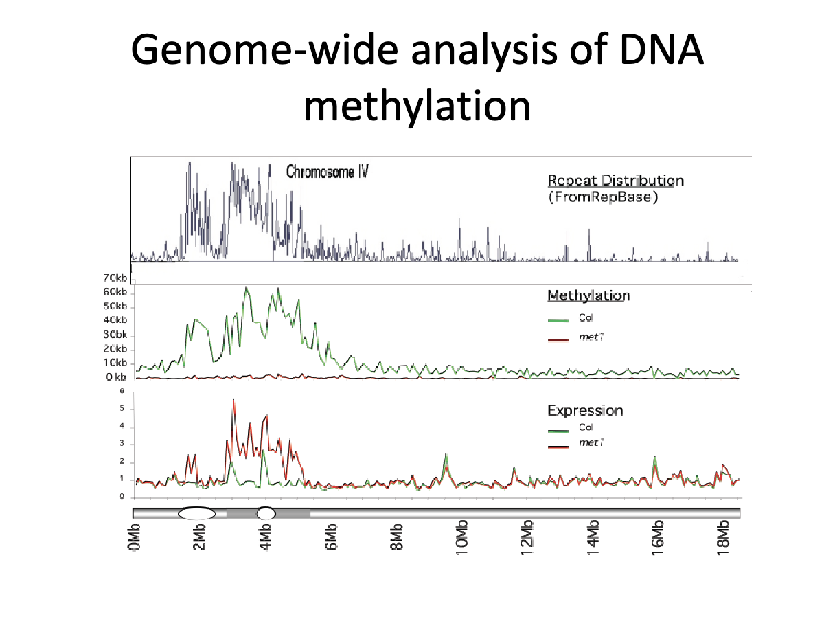 <p>What are some takeaways from interpreting this graph?</p>