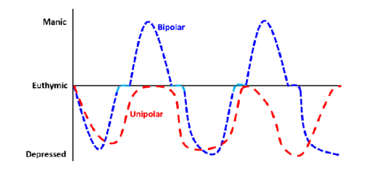 <p>euthymic = normal mood</p><ul><li><p>MDD doesn’t go over normal mood</p></li><li><p>psychotic features (hallucinations (false sensory perceptions) and delusions (false, fixed beliefs)) happen at the lowest of depressed</p></li></ul><p></p>