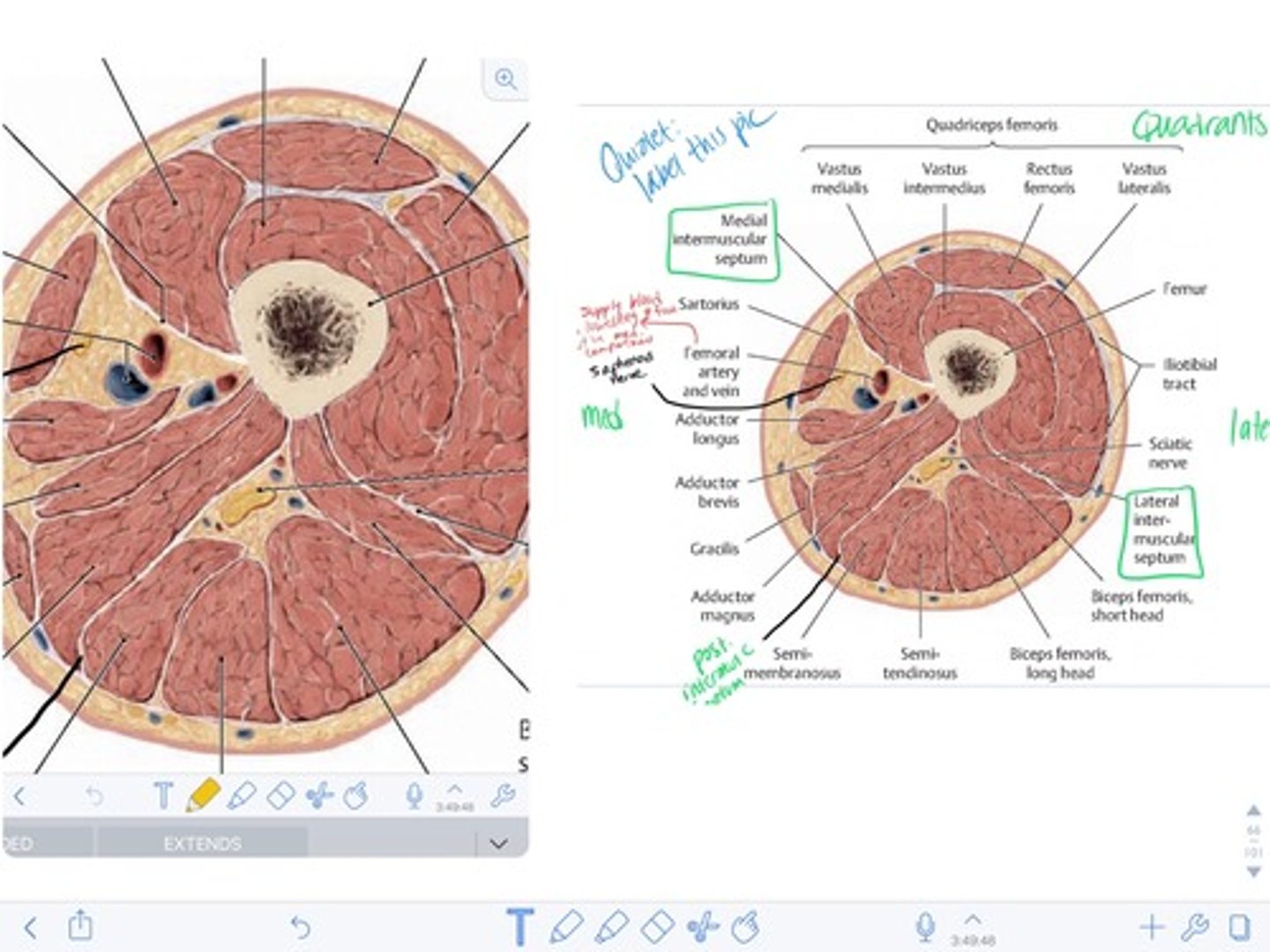 knowt flashcard image