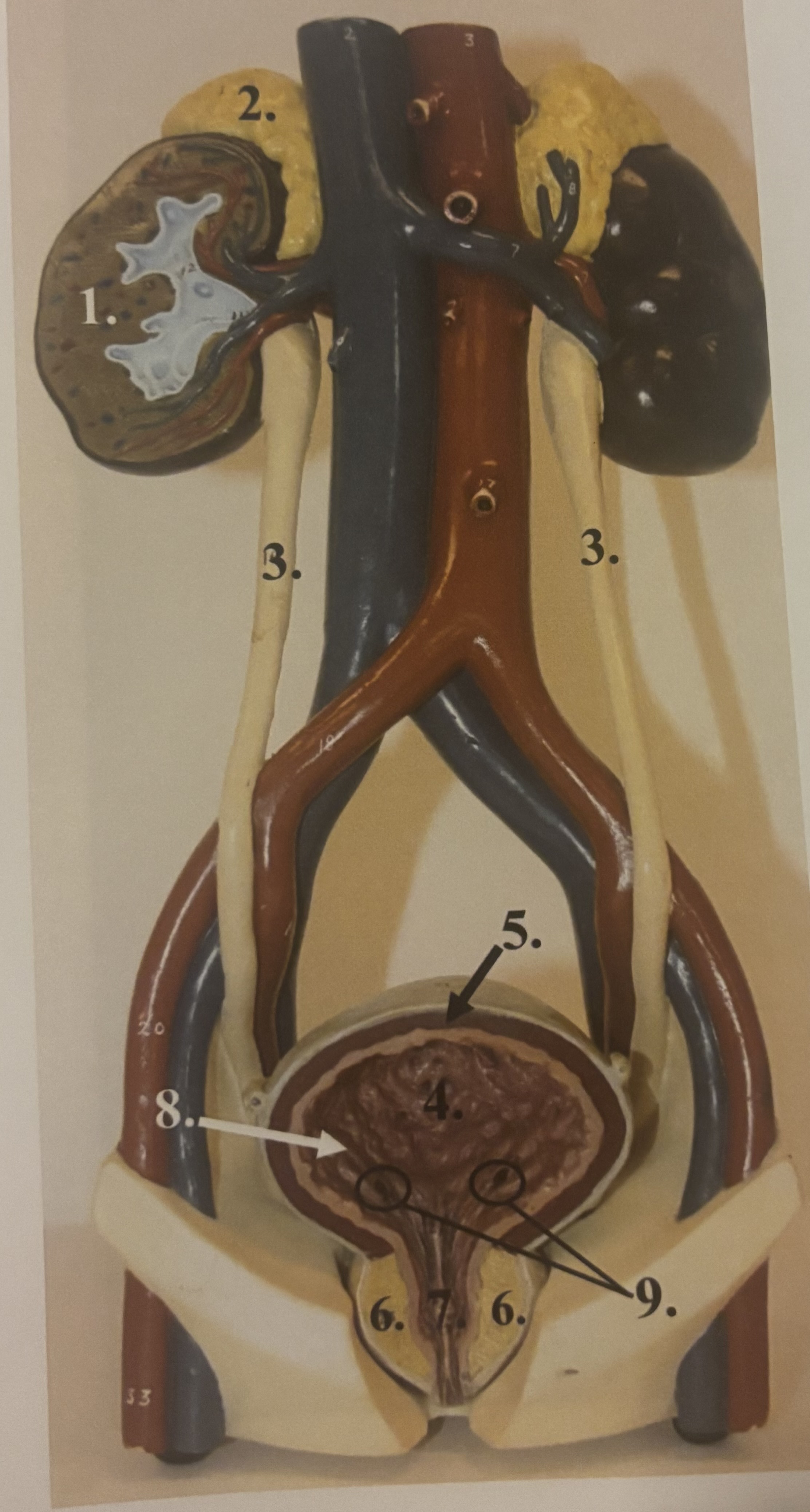 <p>1</p>