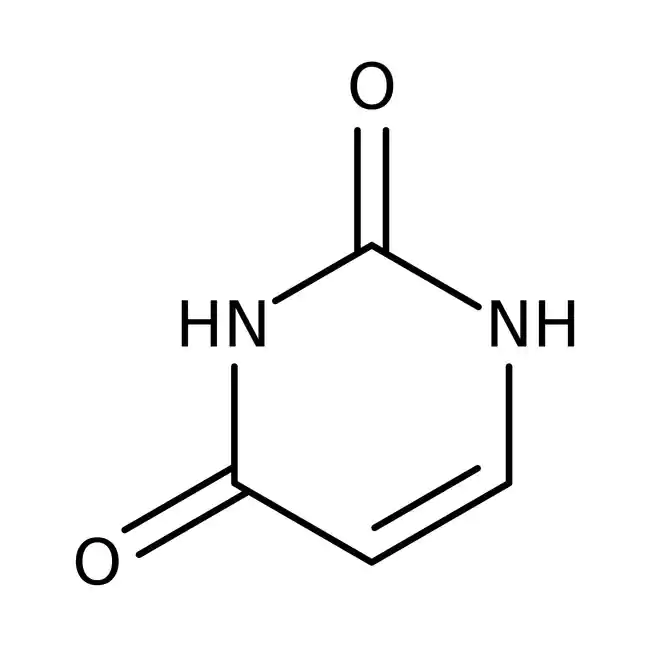 which nucleotide is this?