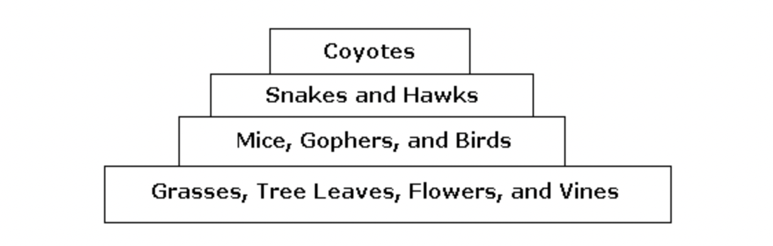 <p>Examine the energy pyramid below. Why is the first block containing the plants the widest block?</p><p></p><p>(photo)</p>