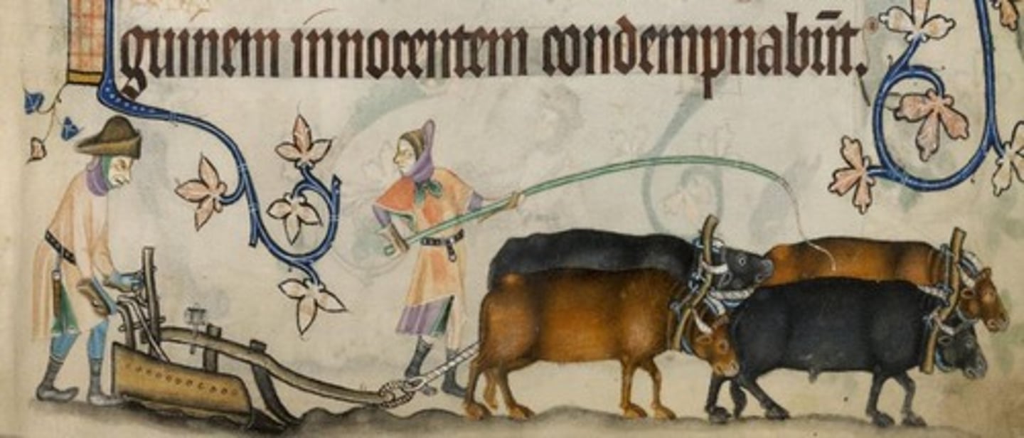 <p>Agricultural method rotating crops across three fields.</p>