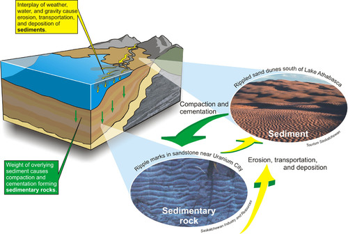 <p>The process of soil particles and decaying organic matter building up in layers on the ground or at the bottom of the ocean. Over time, pressure from water or rock layers above compresses sediments into sedimentary rock (limestone) or FFs</p>