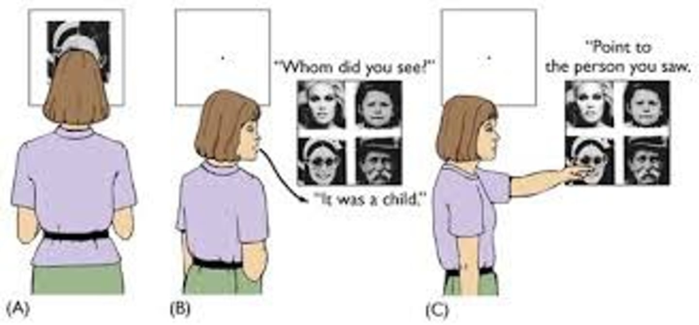 <p>a condition resulting from surgery that isolates the brain's two hemispheres by cutting the fibers (mainly those of the corpus callosum) connecting them.</p>