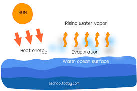 <p>The transformation of water from liquid to gas (water vapor); occurs on surfaces like rivers, lakes, and moist soil and is controlled by temperature, wind, and humidity.</p>