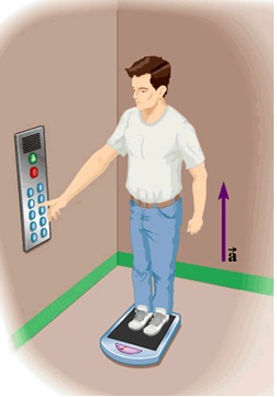 <p>You stand on a scale that rests on the floor of an elevator that is accelerating upward. What is the relationship between the force due&nbsp;to gravity (mg) and the normal force (N) exerted by the scale?</p>