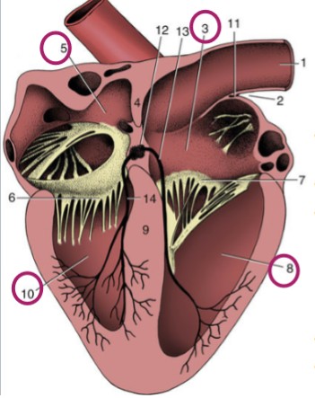 <p>10</p>