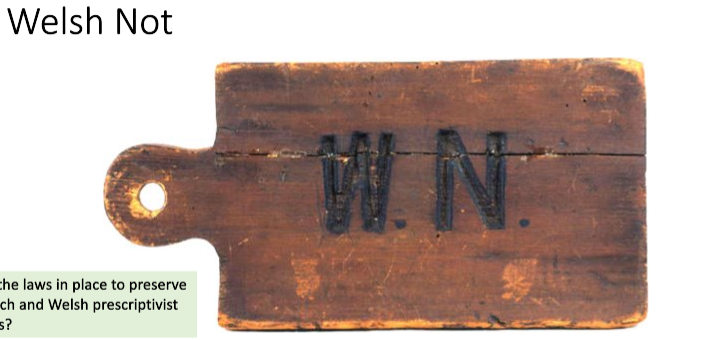 <ul><li><p>punishment system put in place in the late 19th and early 20th century in Wales</p></li><li><p>given to children (piece of wood with WN inscribed hung around the neck) heard using Welsh - english considered to be only suitable means of communication</p></li></ul><p></p>