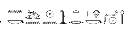 term image