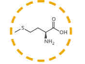 <p>What amino acid is this?</p>