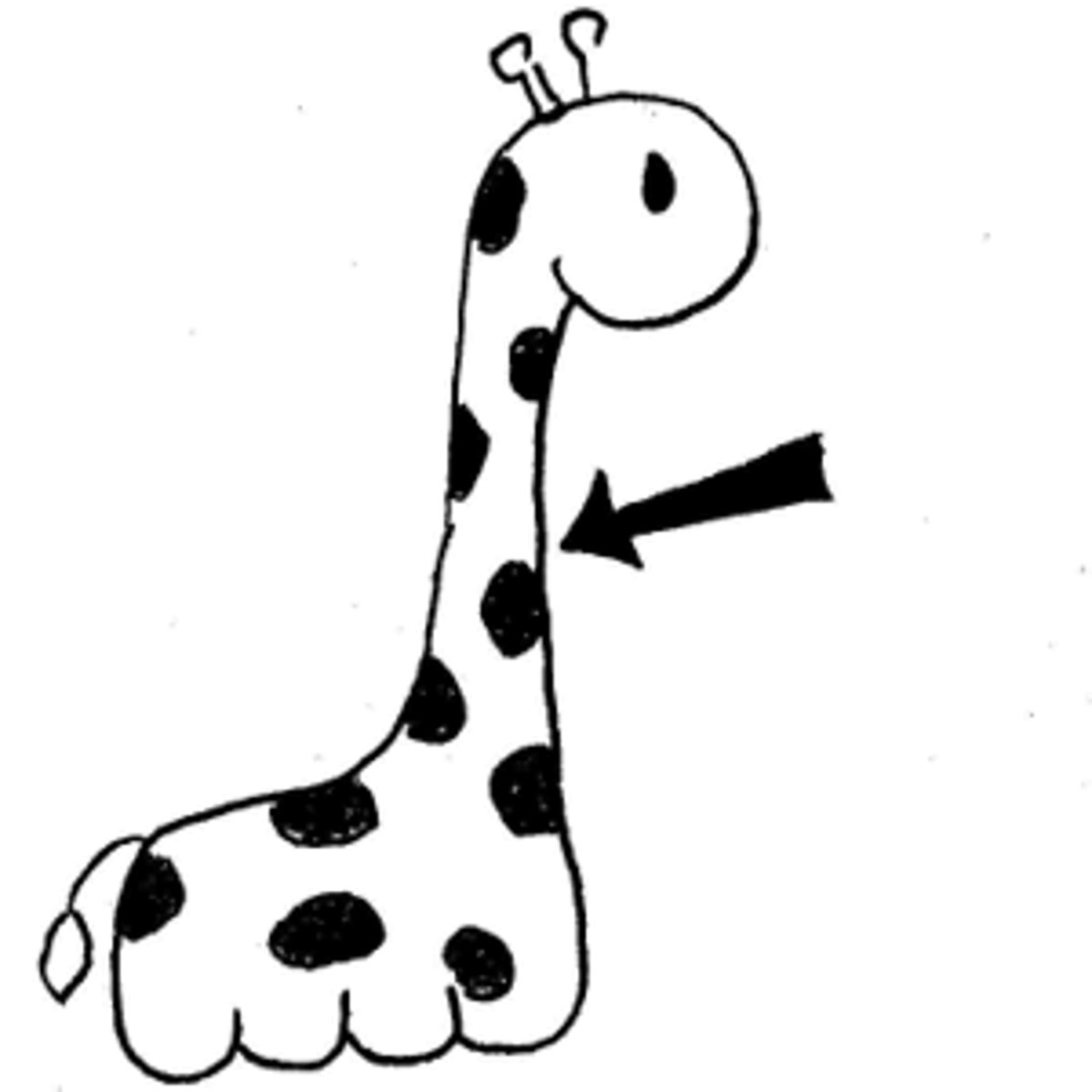<p>neck</p>