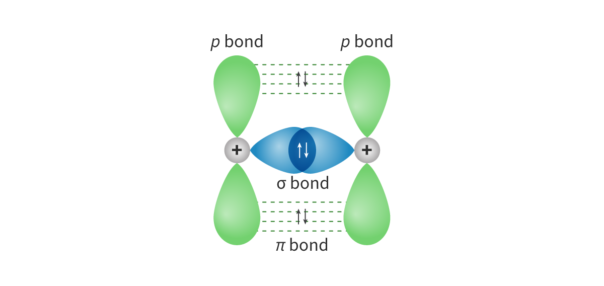 <p>		○ Sigma bond has _____ attraction between electron pair and positive nuclei, as theres only 1 electron-dense region on the inter-nuclear axis located close to the nuclei</p><p>		○ In a pi bond, the electron density is _____ across ___ regions (above + below the internuclear axis) --&gt; therefore further from the _____ charge of the nucleus = weaker</p><p>		○ Pi bond easier to break than sigma bonds = Double and triple bonds are more ______ than single bonds</p><p></p>