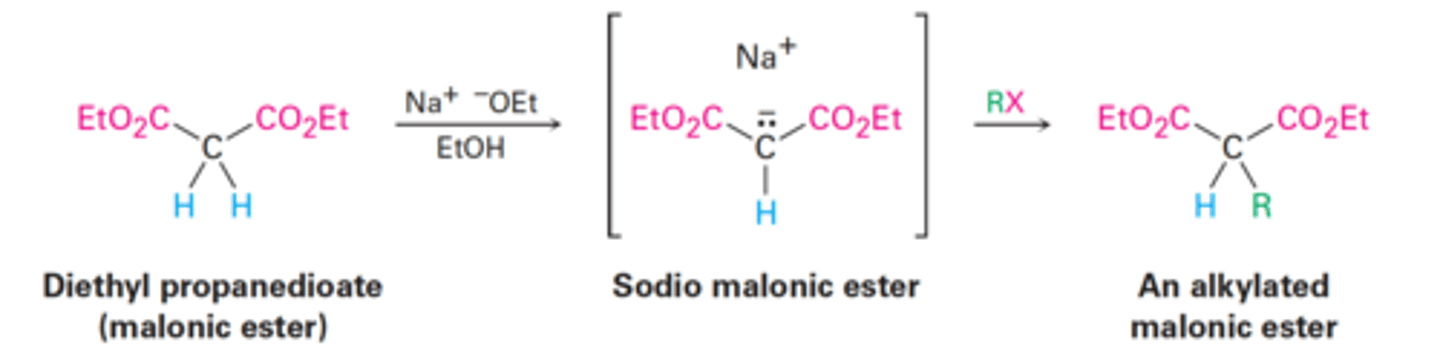 <p>Why are malonic esters relatively acidic?</p>