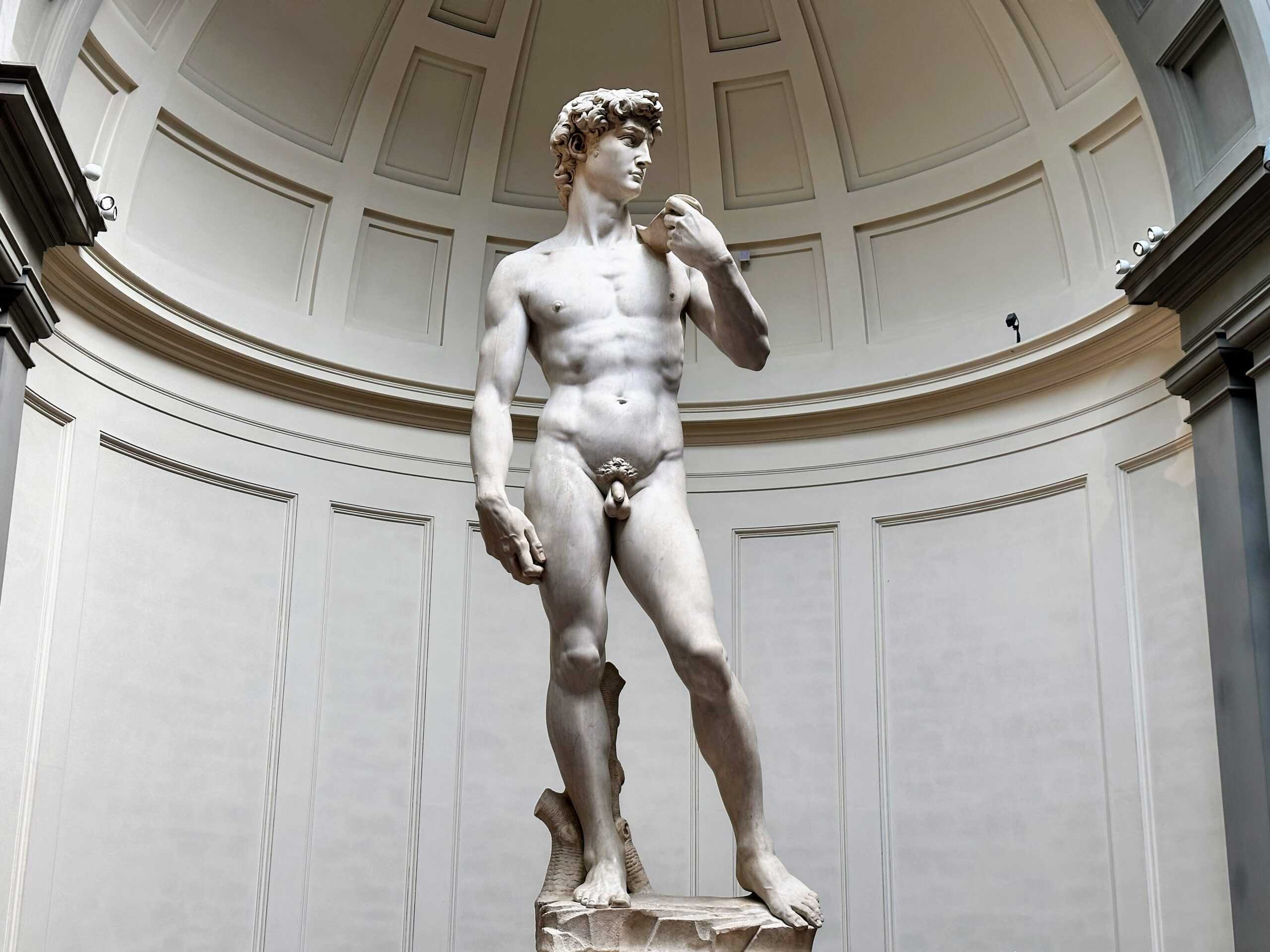 <p>David</p>