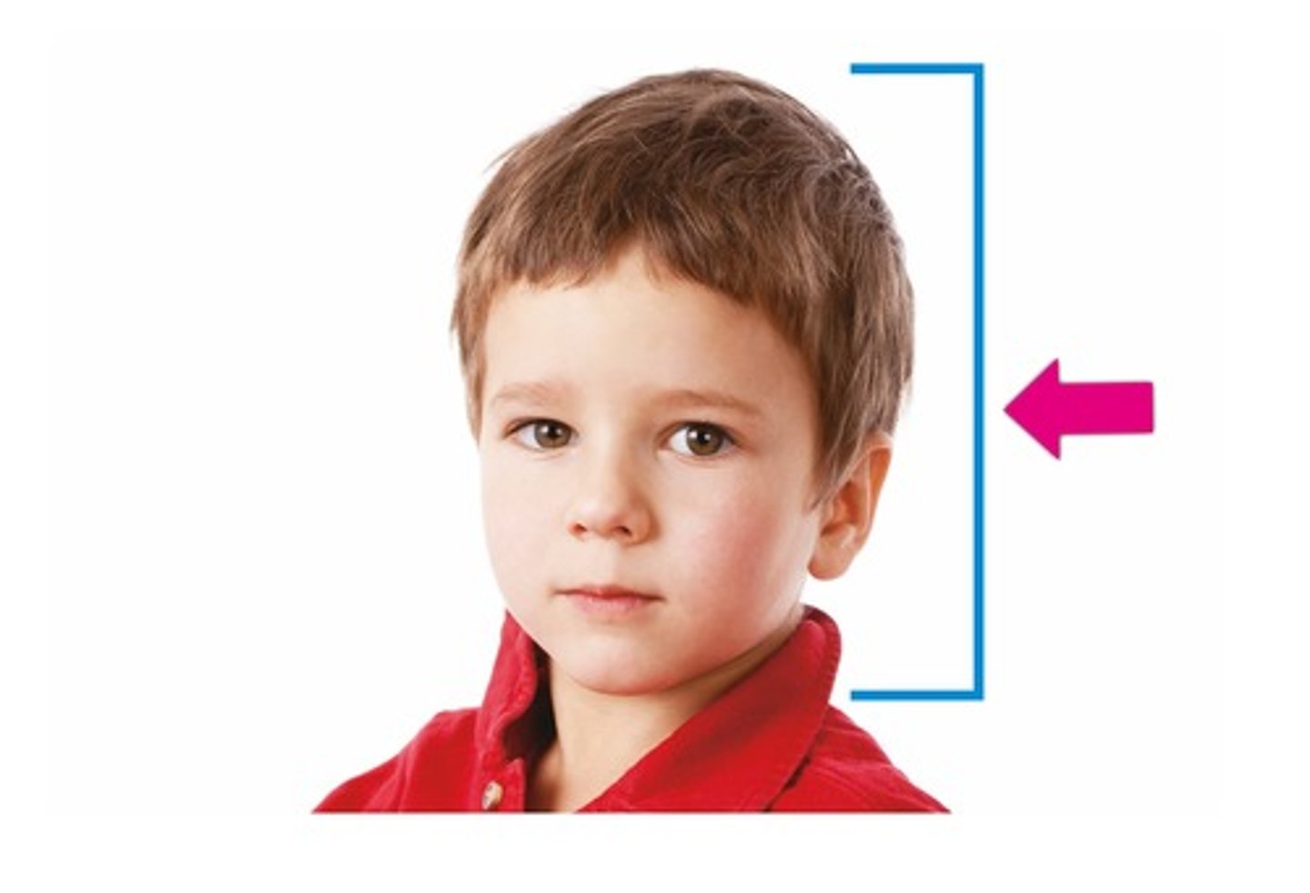 <p>the part of your body with the brain and face: đầu</p>