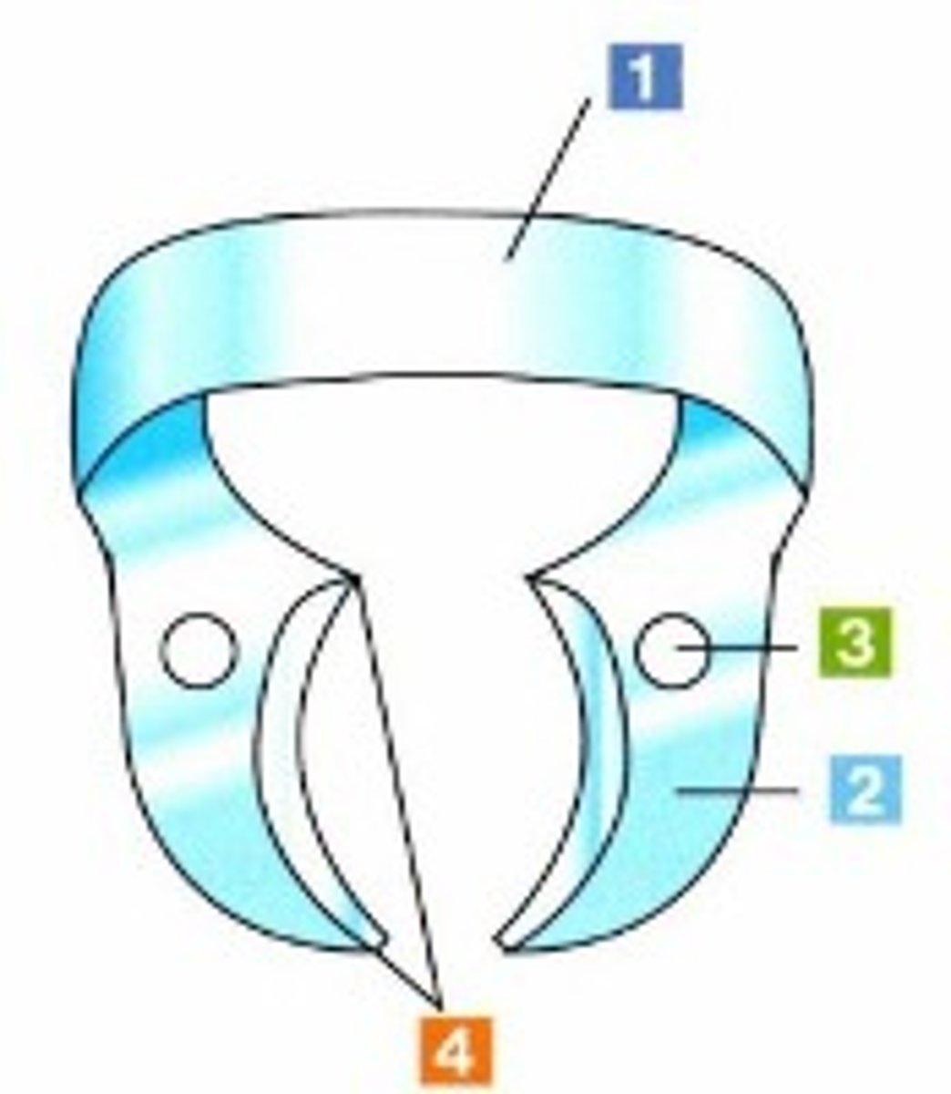 <p>To anchor and stabilize dental dam (2)</p>