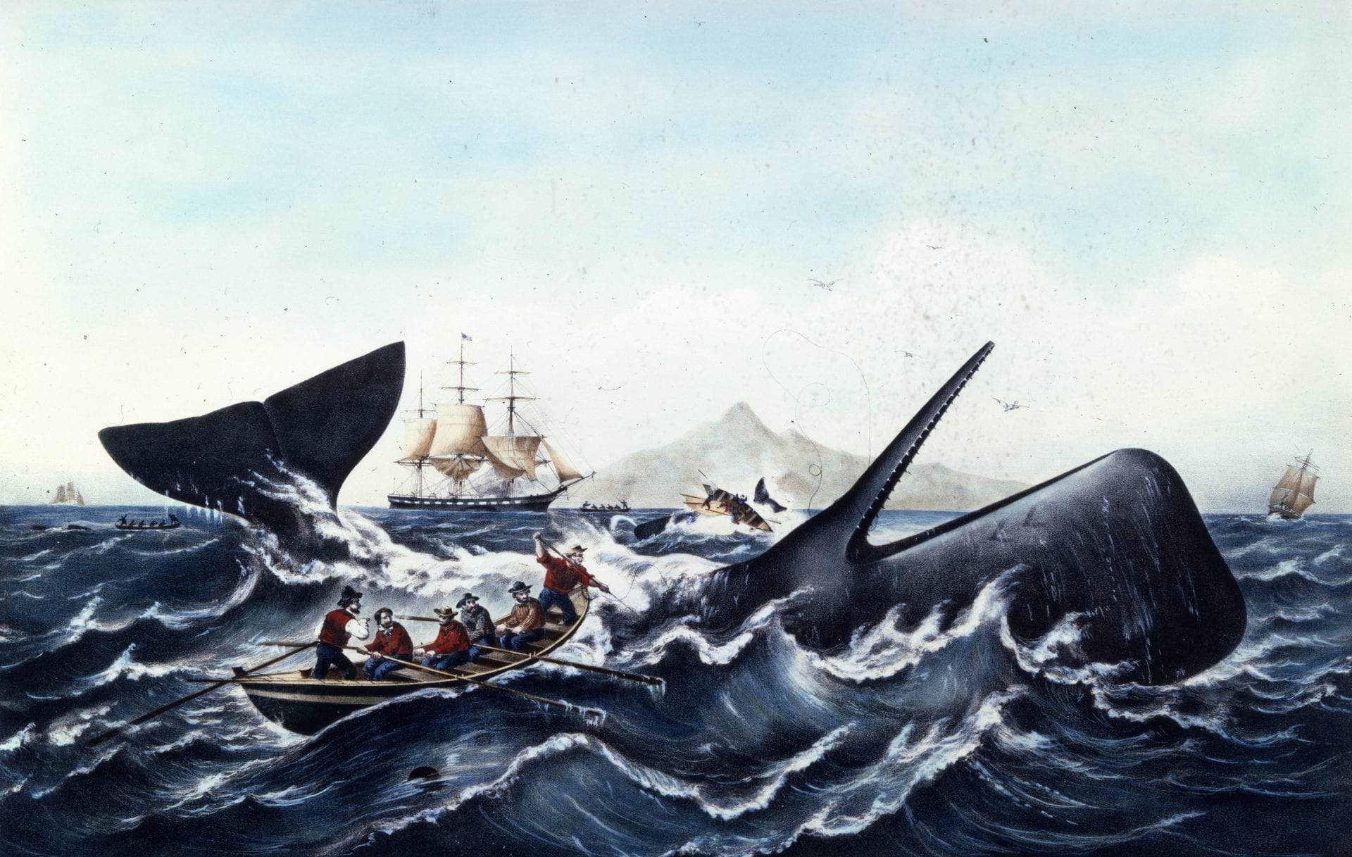 <p>Whaling</p>