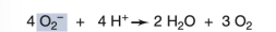 <p>What enzyme is responsible for the reaction shown in the image?</p>
