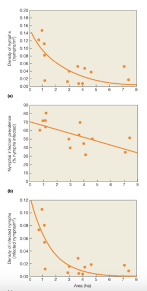 <p>involves the reduction in total forested area and reduction in the average size of remaining forest patches</p><p>---------------</p><p>IMPACTS ON SPECIES:</p><p>- can have have a negative impact in species diversity (however some can thrive in this type of landscape)</p>