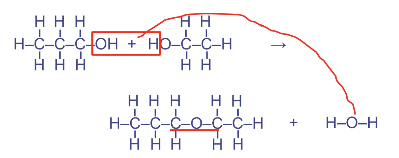<ul><li><p>glycosidic link btw sugars when it occurs btwn sugar molecules</p></li><li><p>btwn 2 hydroxyl groups</p></li><li><p>used in carbohydrates</p></li><li><p>pattern COC</p></li></ul>