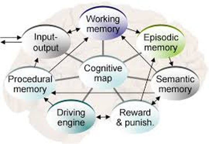 <p>all the mental activities associated with thinking, knowing, remembering, and communicating.</p>