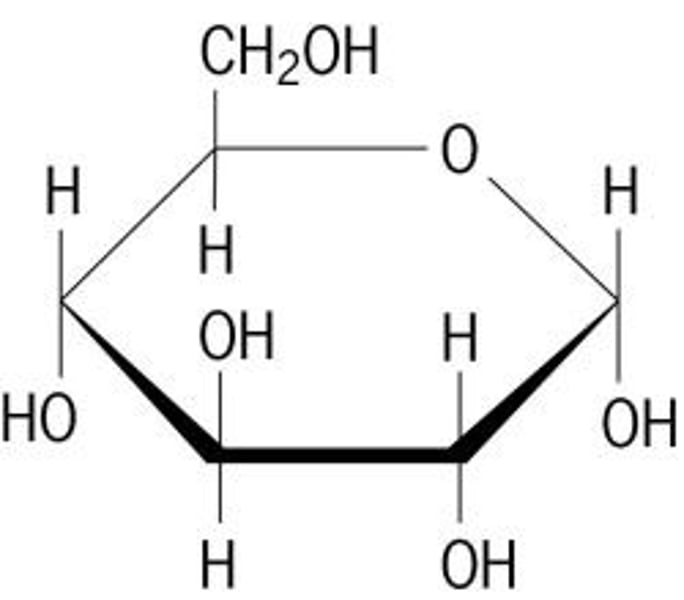 <p>Single sugar molecules</p><p>glucose, fructose, galactose</p>