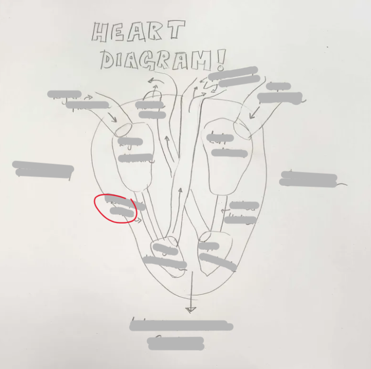 <p>What Structure is this? </p>