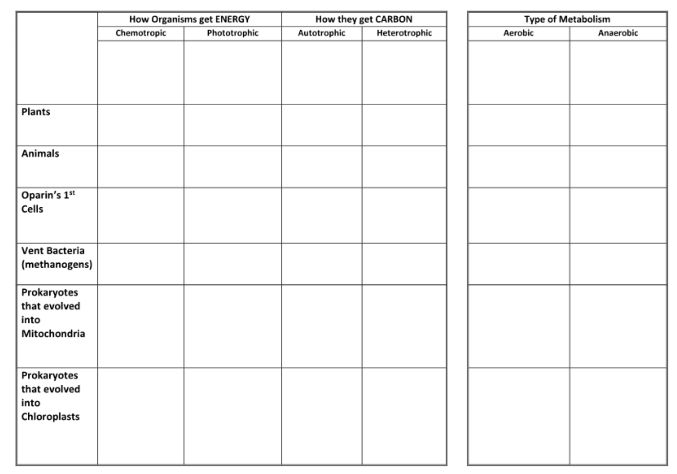 <p>Fill out the chart correctly</p>