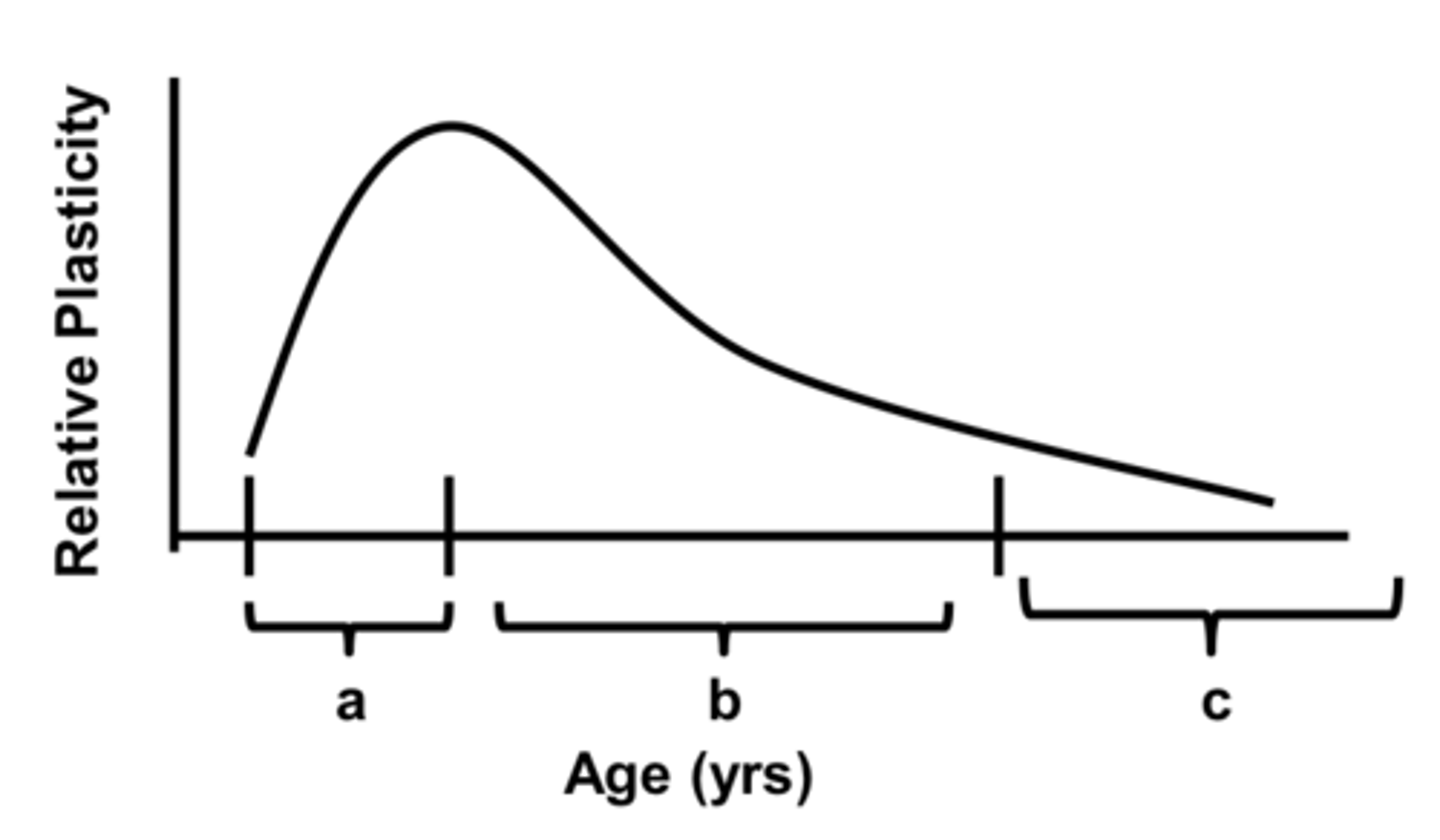 <p>stage C</p>