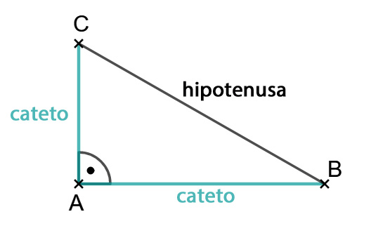La hipotenusa siempre será el lado más largo del triángulo o el lado que esté de cara al ángulo recto. Los catetor pueden ser adyacentes u opuestos, pero esto dependerá desde que ángulo lo estemos analizando.

\
Si lo vemos desde el ángulo B, el cateto adyacente es el que está junto al ángulo (si ignoramos la hipotenusa) es decir, el lado AB.

\
El cateto opuesto será el que está alejado de nuestro ángulo (el lado AC)