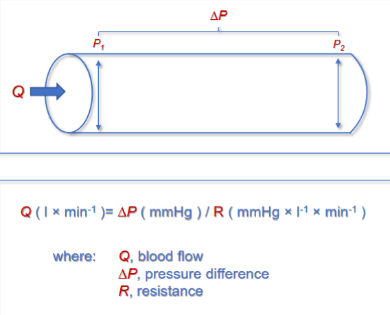 <p>It is determined by <strong>pressure </strong>and <strong>resistance Ohm’s Law</strong></p>