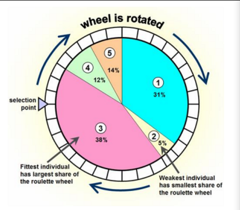 <p>the change of a chromosome surviving to the next generation is proportional to it’s fitness vs. the total fitness of others.</p><p></p><p>a roulette wheel is formed where chromosomes with better finesses have larger portions of the wheel and therefore once the wheel is spun, have a higher chance of being selected by the selection point to continue to the next generation</p>