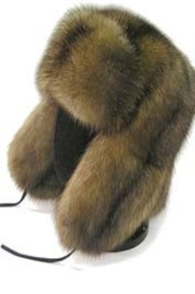 <p>hat with ear flaps</p>