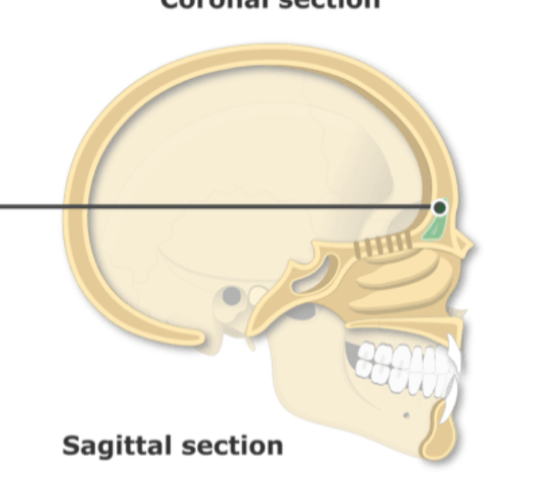 <p>structure and where it drains </p>