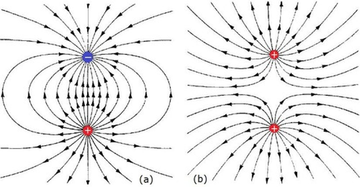 <p>Electric fields are regions around charged objects where forces are exerted, pointing away from positive charges and towards negative charges.</p>