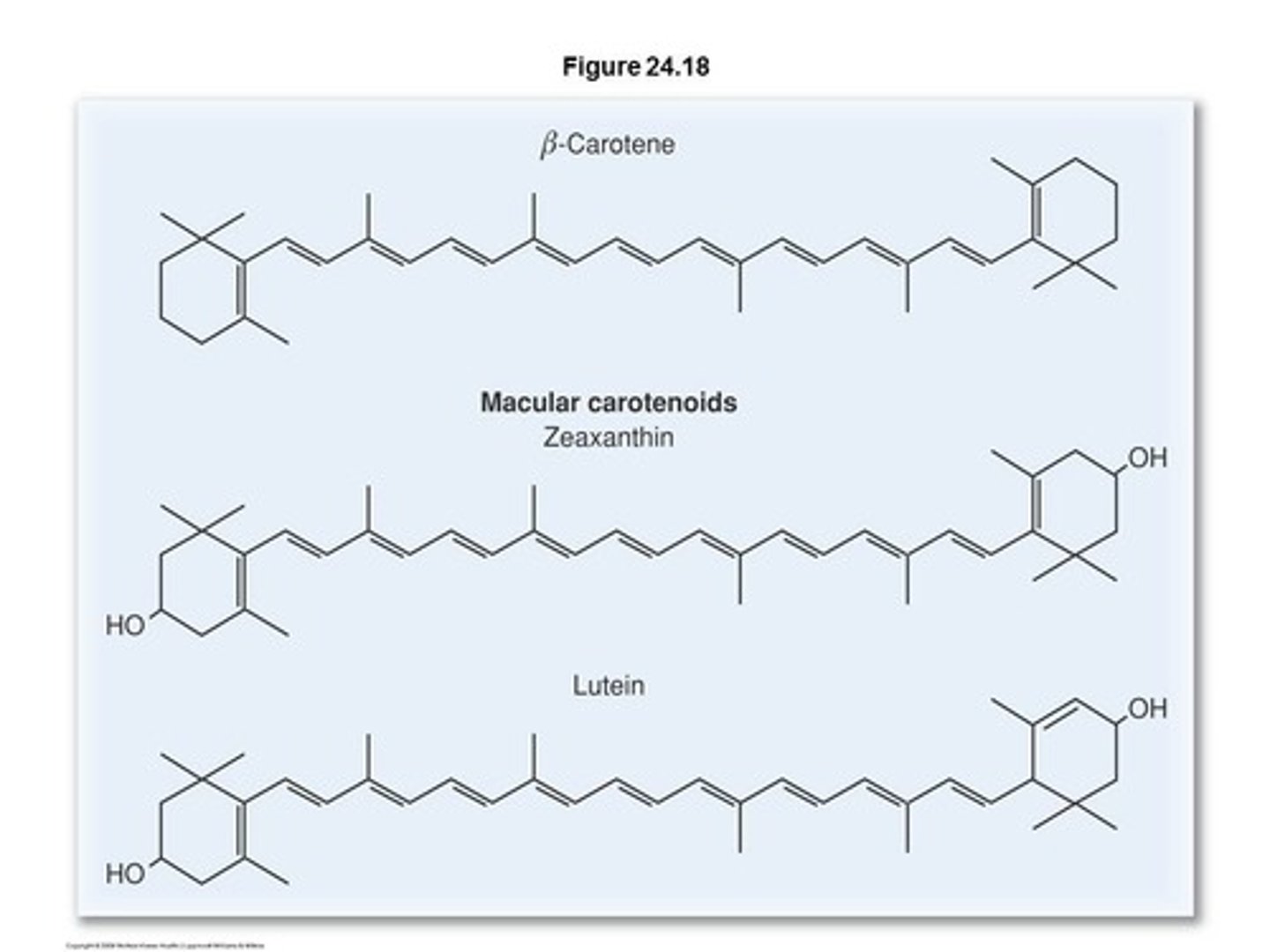 <p>lipid derivatives containing long carbon chains with conjugated double bonds and six-membered rings at each end</p><p>- They function mainly as pigments</p>