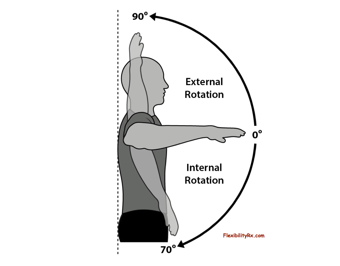 <p>turning a part on a single axis while bringing the anterior surface away from the midline</p>