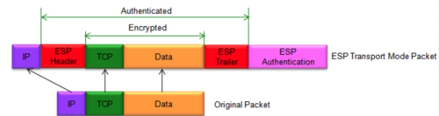 <p>Encrypts only the payload (transport segment + ESP trailer), and not the original IP header</p><p>Uses a transport mode SA</p>