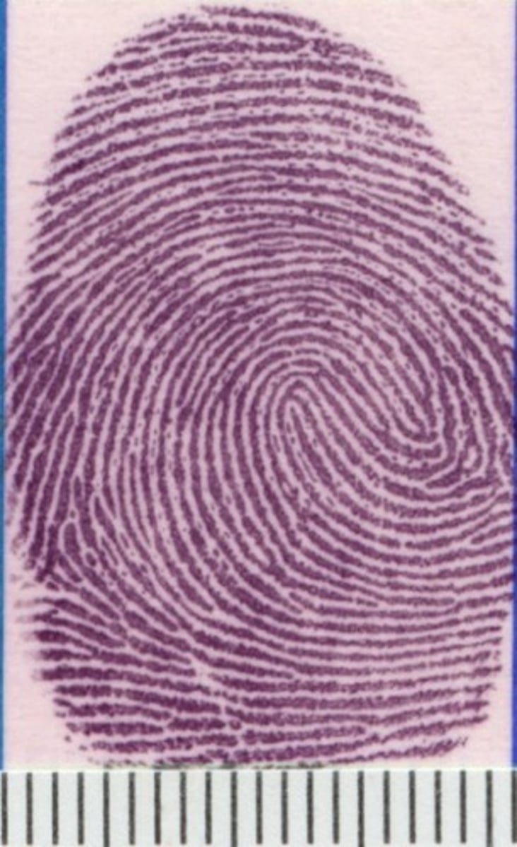 <p>A chemical reagent used to develop latent fingerprints on porous materials by reacting with amino acids in perspiration</p>