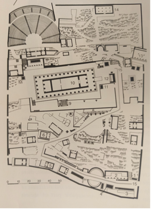term image