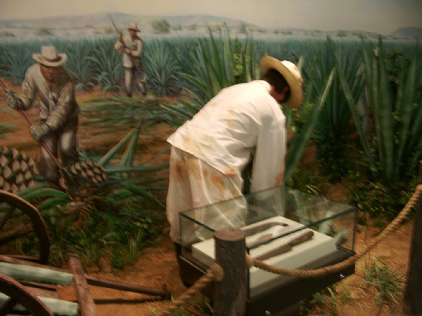 <p>-A type of forced or coerced labor that was limited in time. You basically had to agree to do forced labor for 5 to 7 years</p><p>-At the end of the the 5 to 7 years, if you had served well, you were supposed to get free land on the frontier and supplies to start a farm</p><p>-Most people who did this in the British colonies initially were white and came from British jails; they often mixed and lived with enslaved persons [slaves], which caused the upper classes to be concerned</p><p>-as a result of white indentured servants mixing and allying with African enslaved persons, the upper classes passed new laws to separate and divide lower class whites and African enslaved persons. These were the first laws of segregation in the British colonies</p><p>-Later on the British and other Europeans would use Indian and Chinese indentured labor in their African, Caribbean, and Latin American colonies</p>