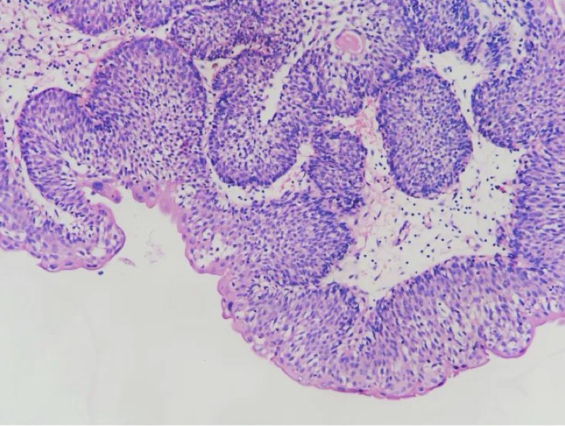 <p>A- identify</p><p>B- describe</p><p>C- originate from ?</p>