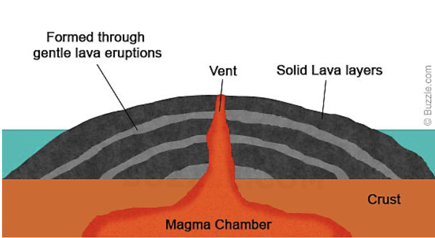 <p>Built up when there is no explosive activity, there are no ejected fragments. It is formed from hot, flowing basaltic lava. They are characterized by gently sloping slides, shallow craters, and a large circumference. </p>