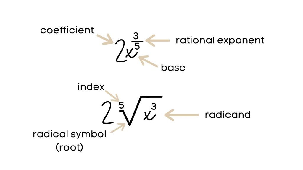 <p>The number on the <span>√ symbol</span></p>