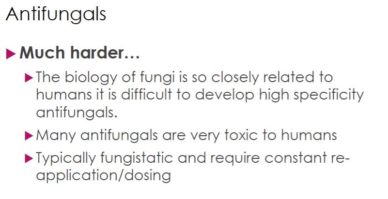 <p>Antifungals</p>