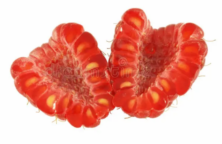 <ol><li><p>Hallon är en sammansatt frukt som består av individuella stenfrukter</p></li><li><p>Tror den endast består av fruktämne, men från flera olika pistiller på grund av sammansatt frukt?</p></li><li><p>Hallon har en karpell per stenfrukt (väldigt svårt att räkna på), ANTAR FRI CENTRAL PLACENTATION?</p></li><li><p>Vi köper hela och äter hela</p></li></ol><p></p>