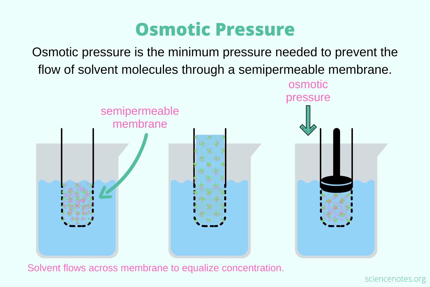 <p>the minimum pressure needed to prevent the flow of solvent molecules through a semi-permeable membrane</p>