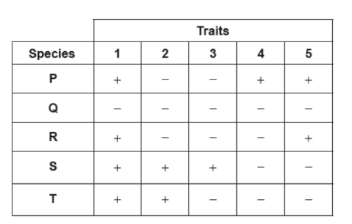 <p><span style="background-color: transparent;">Data regarding the presence (+) or absence (–) of five traits in several different species are shown in the table.</span></p><p></p><p><span style="background-color: transparent;">Which cladogram best represents the relationship between the five species?</span></p>